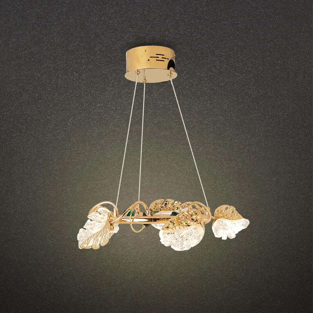 ثريا علاقي ليد  ZINSA - Zinco