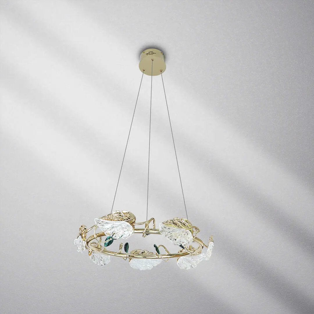 ثريا علاقي ليد  ZINSA - Zinco