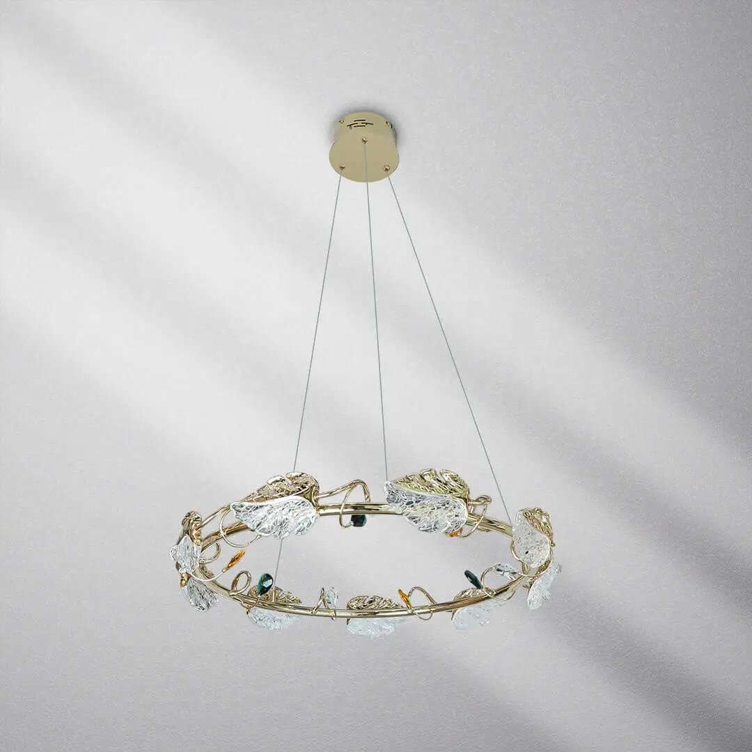 ثريا علاقي ليد  ZINSA - Zinco