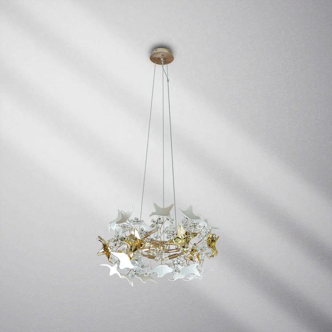 ثريا علاقي  ZINSA - Zinco