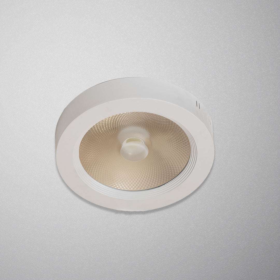 كشاف لطش عدسة شمسي ZINSA/ZINCO/SL5002-R30W/4000K